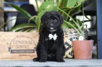 processed/6efb1fcc-8855-4303-8c8a-01084bdd7b48/listing/1a67d179-1944-4005-ae81-21acf8f99388/a72fe0b4-cbf5-4305-9805-689118a8a2f3