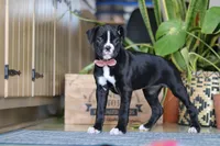 processed/6efb1fcc-8855-4303-8c8a-01084bdd7b48/listing/27ceb01a-930f-44db-a1bd-1d0b70d63025/005e3692-0633-4954-b5a2-e85de7af77e6