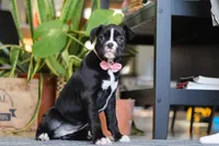 processed/6efb1fcc-8855-4303-8c8a-01084bdd7b48/listing/27ceb01a-930f-44db-a1bd-1d0b70d63025/c6614410-ab3b-4f4a-b53b-e00f05f730f6