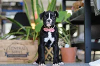 processed/6efb1fcc-8855-4303-8c8a-01084bdd7b48/listing/27ceb01a-930f-44db-a1bd-1d0b70d63025/dec7aa0a-6f94-4bc2-8274-a41e73520d30