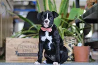 processed/6efb1fcc-8855-4303-8c8a-01084bdd7b48/listing/27ceb01a-930f-44db-a1bd-1d0b70d63025/f2d5c021-14ed-46dd-ab43-31cfbff0c4de