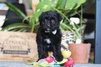 processed/6efb1fcc-8855-4303-8c8a-01084bdd7b48/listing/490a683e-16d4-42ff-bb29-286cdc43c346/062a6a36-da82-439d-aa44-8b533ba0b8be