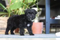 processed/6efb1fcc-8855-4303-8c8a-01084bdd7b48/listing/490a683e-16d4-42ff-bb29-286cdc43c346/8c178c37-f83d-4e4b-bfb2-f385c7103fd2