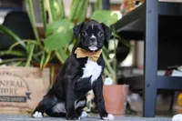 processed/6efb1fcc-8855-4303-8c8a-01084bdd7b48/listing/7038a2f8-cb99-4501-b1ed-27d5f7ebcfba/079447fa-c6c1-49d5-89d2-410f6d3be159