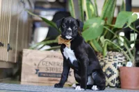 processed/6efb1fcc-8855-4303-8c8a-01084bdd7b48/listing/7038a2f8-cb99-4501-b1ed-27d5f7ebcfba/09bd00b9-a534-4512-9d5e-9c0b0cc0c287