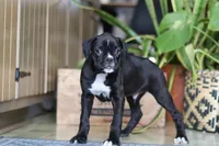 processed/6efb1fcc-8855-4303-8c8a-01084bdd7b48/listing/7038a2f8-cb99-4501-b1ed-27d5f7ebcfba/df111c68-6957-4e09-8d5a-f88b39e78491