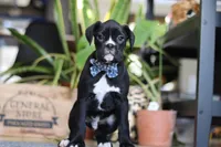 processed/6efb1fcc-8855-4303-8c8a-01084bdd7b48/listing/79e45f41-7d6d-475f-ae9e-ee4fac0572a9/2b902b4b-1886-4103-9ec4-5f6d13d2f4fe