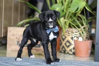 processed/6efb1fcc-8855-4303-8c8a-01084bdd7b48/listing/79e45f41-7d6d-475f-ae9e-ee4fac0572a9/3f0436e1-0111-488c-90ba-0ae939eee0fa