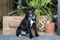 processed/6efb1fcc-8855-4303-8c8a-01084bdd7b48/listing/79e45f41-7d6d-475f-ae9e-ee4fac0572a9/4edc0cba-382b-446b-8551-7b3a3f1862e4