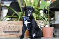 processed/6efb1fcc-8855-4303-8c8a-01084bdd7b48/listing/79e45f41-7d6d-475f-ae9e-ee4fac0572a9/d596a8ab-97c8-4bb3-af71-d5703afd88e7