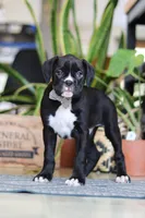 processed/6efb1fcc-8855-4303-8c8a-01084bdd7b48/listing/ce69f6c4-ccc7-4b9a-9508-842c27140b8f/07b96824-15c4-4975-a840-366fb6572837