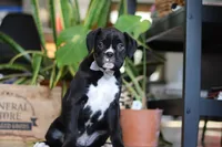 processed/6efb1fcc-8855-4303-8c8a-01084bdd7b48/listing/ce69f6c4-ccc7-4b9a-9508-842c27140b8f/c4196808-8d1c-4acd-88f9-88b1462a7778