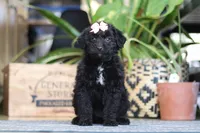 processed/6efb1fcc-8855-4303-8c8a-01084bdd7b48/listing/dc00e0d2-c36e-4c73-ab2d-7e98a1e8f356/04f582f2-1f0b-4d6d-ad4b-088faf518978