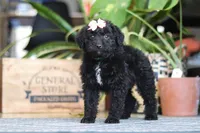 processed/6efb1fcc-8855-4303-8c8a-01084bdd7b48/listing/dc00e0d2-c36e-4c73-ab2d-7e98a1e8f356/376380b6-0952-4b46-aad4-1e7bf7c58e16