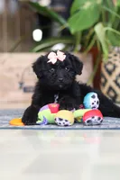 processed/6efb1fcc-8855-4303-8c8a-01084bdd7b48/listing/dc00e0d2-c36e-4c73-ab2d-7e98a1e8f356/44c8cb46-d797-43b9-bad3-29d2a0f3bae1