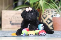 processed/6efb1fcc-8855-4303-8c8a-01084bdd7b48/listing/dc00e0d2-c36e-4c73-ab2d-7e98a1e8f356/521372f5-a967-4dec-a178-aa6be5bd0f44