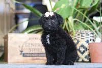 processed/6efb1fcc-8855-4303-8c8a-01084bdd7b48/listing/dc00e0d2-c36e-4c73-ab2d-7e98a1e8f356/7a02a9d5-0dfa-48de-a827-69570207d0aa