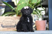 processed/6efb1fcc-8855-4303-8c8a-01084bdd7b48/listing/dc00e0d2-c36e-4c73-ab2d-7e98a1e8f356/e2bbab6d-a02c-4d09-8942-4f2e7906842a