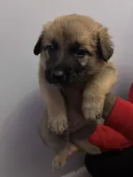 processed/6effc253-e432-4073-b2f2-a8fad0176fad/listing/a47dbd54-12b8-4df4-a576-7f3f4136f042/3ffd957f-02f8-48a2-b86e-f6291f2d5bc0