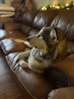 processed/6f021a72-9a4a-4dba-bc03-b4bb1a146c4a/facility/45522f15-b0ea-4713-9e84-6b874afbe0f4