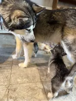 processed/6f021a72-9a4a-4dba-bc03-b4bb1a146c4a/facility/5289685e-8f5f-4b85-8c73-38c6e427f3ad