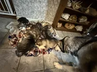 processed/6f021a72-9a4a-4dba-bc03-b4bb1a146c4a/facility/c0534a69-9bb2-4165-84bb-cff9af6b7e89