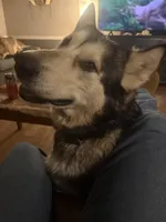 processed/6f021a72-9a4a-4dba-bc03-b4bb1a146c4a/facility/cd06b500-d330-4136-97cb-fb5e92f224c6