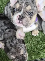 processed/6f0ad50c-5aa2-4eb7-b535-6ab4cc372861/facility/3f70abd5-c271-442d-b922-5a0a14bfdde0