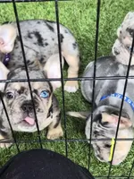 processed/6f0ad50c-5aa2-4eb7-b535-6ab4cc372861/facility/4b9ee84e-8dc2-496d-8817-6b19c4dc0338