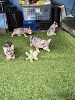 processed/6f0ad50c-5aa2-4eb7-b535-6ab4cc372861/facility/b1d05960-3c89-4e4b-90f5-3bbad75f8707