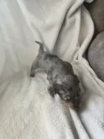 processed/6f0c3835-c0c2-4e54-8e88-c3f248fc8af1/listing/407b53e7-f3a3-40be-b103-9ae3f5a913e9/431e388a-5a7e-476e-be30-5d5228ba4ec7