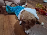 processed/6f1741d0-05b0-4434-9ada-c87e32d835df/listing/ec1437e1-557d-440f-9e0d-41407de86775/2254081b-52dd-412e-8de4-a89a433be121