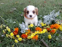 processed/6f1741d0-05b0-4434-9ada-c87e32d835df/listing/fba559b4-5fa0-4bba-a0e6-06f27616467e/24888b12-b9a2-4356-9e23-81fe9d47cc36