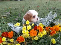 processed/6f1741d0-05b0-4434-9ada-c87e32d835df/listing/fba559b4-5fa0-4bba-a0e6-06f27616467e/8bc66cdd-8513-4d82-813a-00232070d0c6