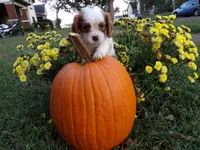 processed/6f1741d0-05b0-4434-9ada-c87e32d835df/listing/fba559b4-5fa0-4bba-a0e6-06f27616467e/ec5d6201-78d0-4128-a0a7-3a4c192bcd85