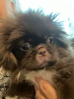 processed/6f2265b4-1df0-44b1-b9de-420d4423e174/listing/7d872c50-eb34-45d3-87b3-b30affee8042/4ffdb149-9626-4e24-b0f8-d3696e71fb97