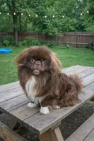 processed/6f2265b4-1df0-44b1-b9de-420d4423e174/listing/7d872c50-eb34-45d3-87b3-b30affee8042/62868020-6ef1-416f-93c0-97fa2d604de2