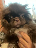 processed/6f2265b4-1df0-44b1-b9de-420d4423e174/listing/7d872c50-eb34-45d3-87b3-b30affee8042/c19d81e3-2771-41ba-9608-405fe42c0bb8