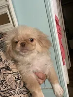 processed/6f2265b4-1df0-44b1-b9de-420d4423e174/listing/ec630f69-ec50-436f-b5cb-f7b7e6c062f5/15fd147f-2cb0-410e-af43-0a812defddaa