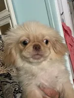 processed/6f2265b4-1df0-44b1-b9de-420d4423e174/listing/ec630f69-ec50-436f-b5cb-f7b7e6c062f5/83ffec6d-06a2-4e18-922c-bf1c411e7861