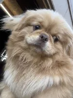 processed/6f2265b4-1df0-44b1-b9de-420d4423e174/listing/ec630f69-ec50-436f-b5cb-f7b7e6c062f5/c7da0c11-36e0-449a-afde-7febf49a58a2