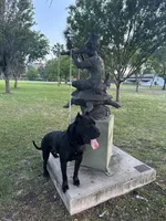 Trinity , a female Perro de Presa Canario for sale in Plant City, FL – Photo 3 of 3