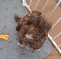 processed/6f28b6b3-8319-4f56-8db5-8fbca2b5f283/listing/81d3733d-af35-4097-a29b-1f0a15bdfef5/0660d237-976e-45fe-8ece-6eb31227fa1e