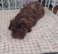 processed/6f28b6b3-8319-4f56-8db5-8fbca2b5f283/listing/81d3733d-af35-4097-a29b-1f0a15bdfef5/5f4360bb-7073-4470-a958-b27838bc9a22