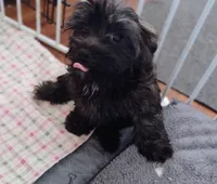 processed/6f28b6b3-8319-4f56-8db5-8fbca2b5f283/listing/93b53c42-b95f-4a10-b1ec-27d0c80beae1/3acb1741-2452-412e-948e-113a15314992