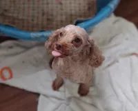 processed/6f28b6b3-8319-4f56-8db5-8fbca2b5f283/listing/93b53c42-b95f-4a10-b1ec-27d0c80beae1/b4f1314f-e5d6-4d0b-8921-60ac284ddc52