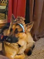 processed/6f2c8f00-6e99-426c-ad23-123bf08e9b44/facility/67c03d71-fef9-49cd-b2b7-1e1aab0dfae4