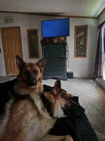 processed/6f2c8f00-6e99-426c-ad23-123bf08e9b44/facility/7981a31e-5953-4574-87a6-21b5c26ceab2