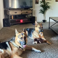 processed/6f2c8f00-6e99-426c-ad23-123bf08e9b44/facility/969899dd-26ae-4e2c-9678-6580de7124ff