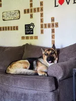 processed/6f2c8f00-6e99-426c-ad23-123bf08e9b44/facility/e22f6e1b-3ac3-4633-9eea-622be7ff6605